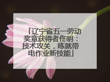 辽宁省五一劳动奖章获得者佟明：技术攻关，练就带电作业新技能