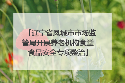 辽宁省凤城市市场监管局开展养老机构食堂食品安全专项整治