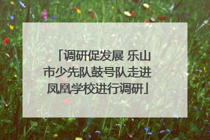 调研促发展 乐山市少先队鼓号队走进凤凰学校进行调研