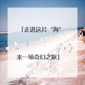 走进这片“海”来一场奇幻之旅