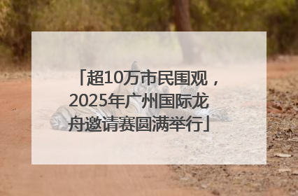 超10万市民围观，2025年广州国际龙舟邀请赛圆满举行