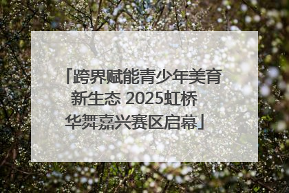 跨界赋能青少年美育新生态 2025虹桥华舞嘉兴赛区启幕