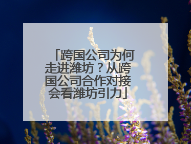 跨国公司为何走进潍坊？从跨国公司合作对接会看潍坊引力
