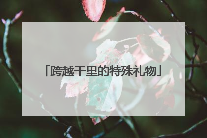 跨越千里的特殊礼物