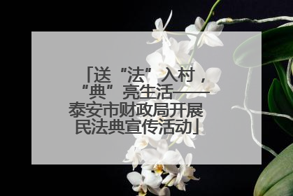送“法”入村，“典”亮生活——泰安市财政局开展民法典宣传活动