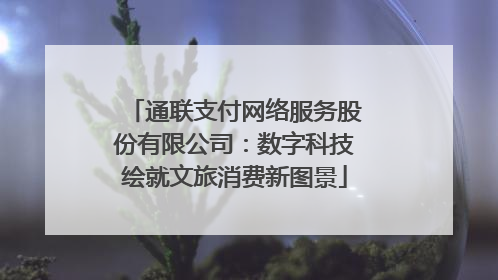 通联支付网络服务股份有限公司：数字科技绘就文旅消费新图景