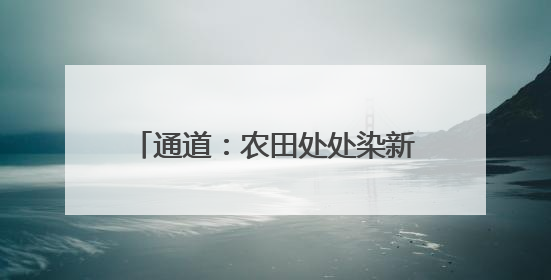 通道：农田处处染新绿 制种水稻移栽忙