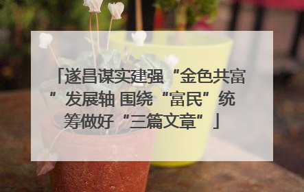 遂昌谋实建强“金色共富”发展轴 围绕“富民”统筹做好“三篇文章”