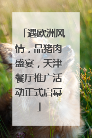 遇欧洲风情，品猪肉盛宴，天津餐厅推广活动正式启幕
