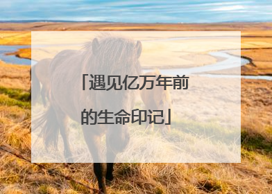 遇见亿万年前的生命印记