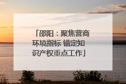 邵阳：聚焦营商环境指标 锚定知识产权重点工作