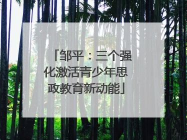 邹平：三个强化激活青少年思政教育新动能