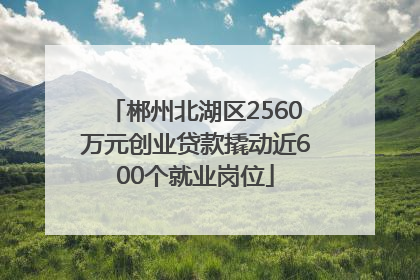 郴州北湖区2560万元创业贷款撬动近600个就业岗位