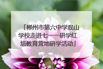 郴州市第六中学观山学校走进七一一研学红培教育营地研学活动