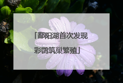 鄱阳湖首次发现彩鹮筑巢繁殖