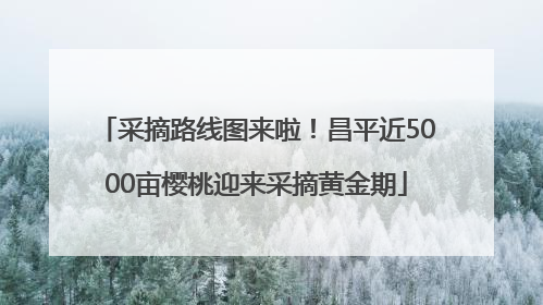 采摘路线图来啦！昌平近5000亩樱桃迎来采摘黄金期