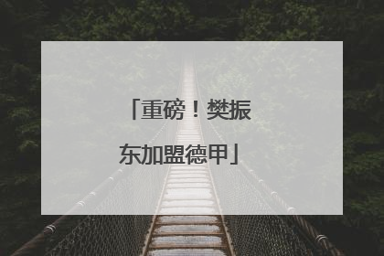 重磅！樊振东加盟德甲