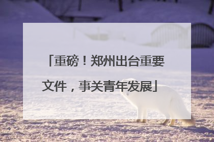 重磅！郑州出台重要文件，事关青年发展