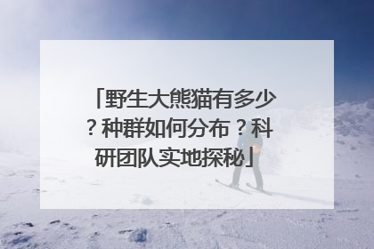 野生大熊猫有多少？种群如何分布？科研团队实地探秘