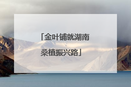 金叶铺就湖南桑植振兴路