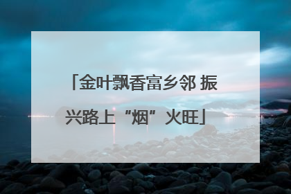 金叶飘香富乡邻 振兴路上“烟”火旺