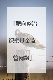 靶向整治织密基金监管网络