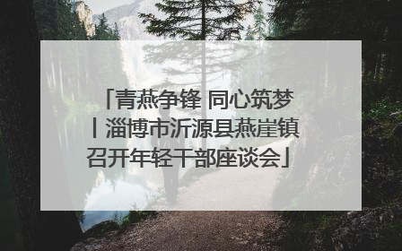 青燕争锋 同心筑梦丨淄博市沂源县燕崖镇召开年轻干部座谈会