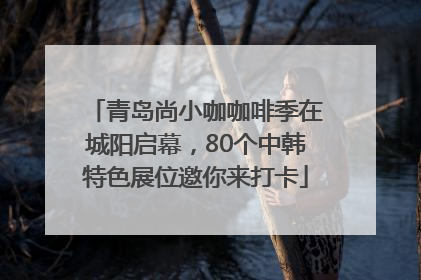 青岛尚小咖咖啡季在城阳启幕，80个中韩特色展位邀你来打卡