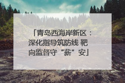 青岛西海岸新区：深化指导筑防线 靶向监督守“薪”安
