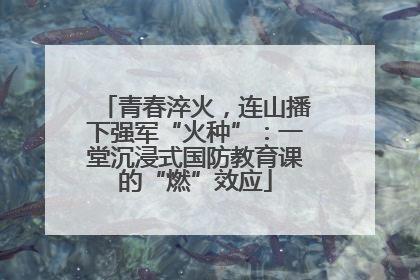 青春淬火，连山播下强军“火种”：一堂沉浸式国防教育课的“燃”效应