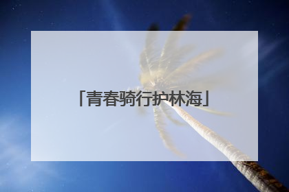青春骑行护林海