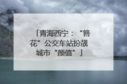 青海西宁：“簪花”公交车站扮靓城市“颜值”