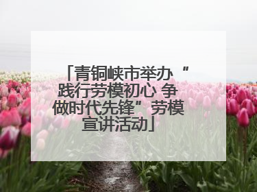 青铜峡市举办“践行劳模初心 争做时代先锋”劳模宣讲活动