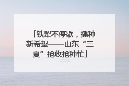 铁犁不停歇，播种新希望——山东“三夏”抢收抢种忙