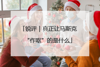 锐评｜真正让马斯克“作呕”的是什么