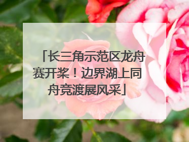 长三角示范区龙舟赛开桨！边界湖上同舟竞渡展风采