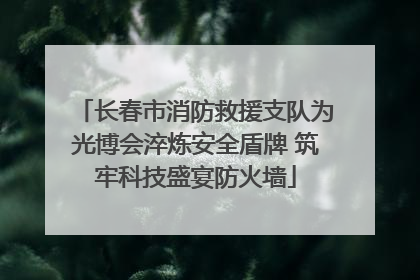 长春市消防救援支队为光博会淬炼安全盾牌 筑牢科技盛宴防火墙