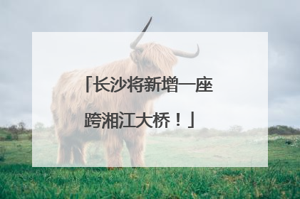长沙将新增一座跨湘江大桥！