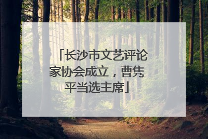 长沙市文艺评论家协会成立，曹隽平当选主席