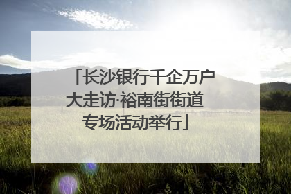 长沙银行千企万户大走访·裕南街街道专场活动举行