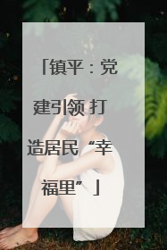 镇平：党建引领 打造居民“幸福里”