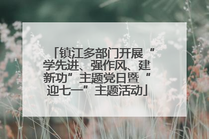 镇江多部门开展“学先进、强作风、建新功”主题党日暨“迎七一”主题活动