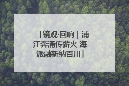 镜观·回响｜浦江奔涌传薪火 海派融新纳百川