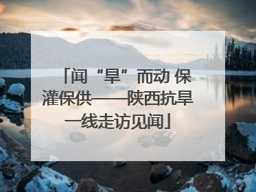 闻“旱”而动 保灌保供——陕西抗旱一线走访见闻