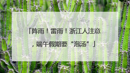 阵雨！雷雨！浙江人注意，端午假期要“泡汤”