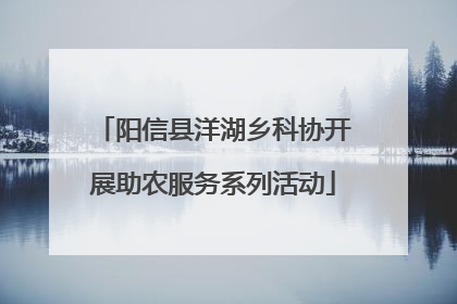 阳信县洋湖乡科协开展助农服务系列活动