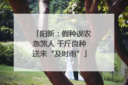 阳新：假种误农急煞人 千斤良种送来“及时雨”