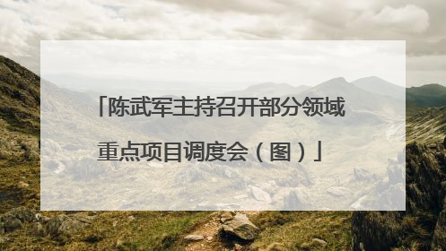陈武军主持召开部分领域重点项目调度会（图）