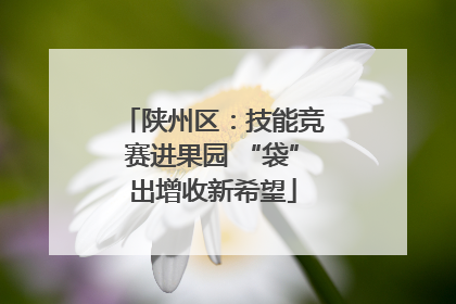 陕州区：技能竞赛进果园 “袋”出增收新希望