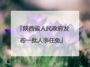 陕西省人民政府发布一批人事任免